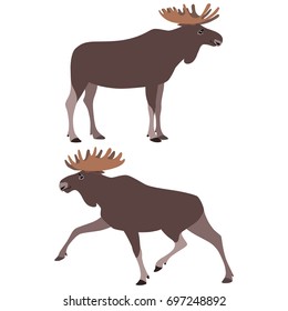 Vector illustration of standing and running moose isolated on white background