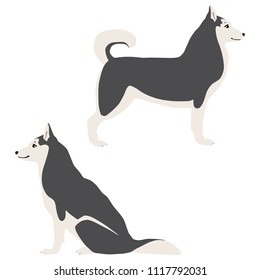 Vector illustration of standing and sitting siberian huskies isolated on white background