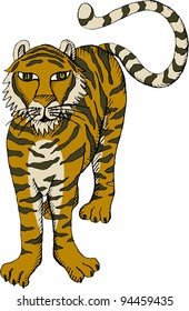 Vector illustration of standing tiger