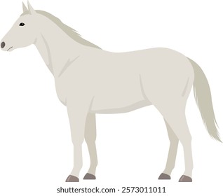 Vector illustration of a standing white horse