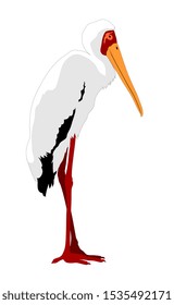 Vector illustration of standing Yellow billed stork silhouette
