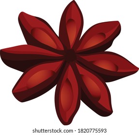 vector illustration of star anise. delicious holiday seasoning. the bright part of the picture.