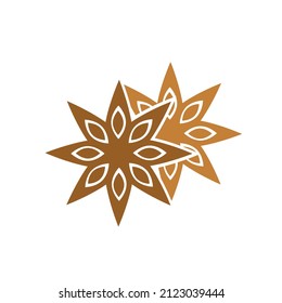 Vector illustration with star anise. Hand drawn label isolated on white background. Banner for organic herbs and spices concept. For package design.