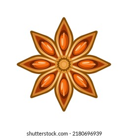 Vector illustration of star anise, isolated on white background.