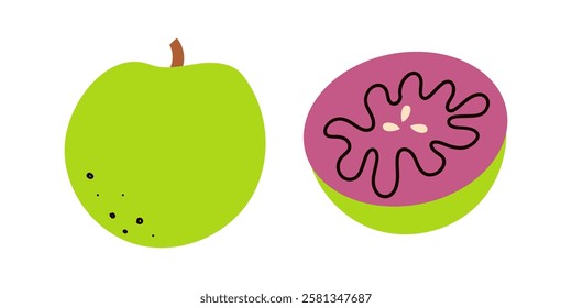 Vector illustration, star apple fruit or Chrysophyllum cainito, isolated on white background. Hand drawn doodle illustratio for banner , web and card design .