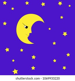 vector illustration of a star moon night