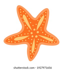Vector illustration of a starfish. Colored drawing of a starfish in flat style