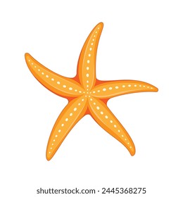 Vector illustration. Starfish isolated on white background