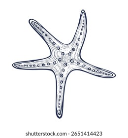 Vector illustration of Starfish for nautical decoration or marine designs. Linear drawing of seashell in retro outline style painted by inks. Isolated engraved art of Sea Star for icon or logo.