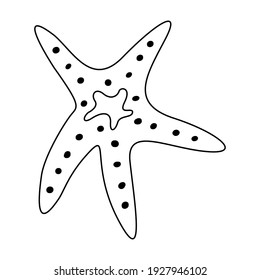 Vector Illustration Starfish Outline Drawing Starfish Stock Vector ...