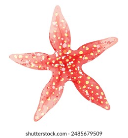 Vector illustration of a starfish. Sea animals in watercolor style isolated on white