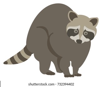 Vector Illustration of a Startled Raccoon
