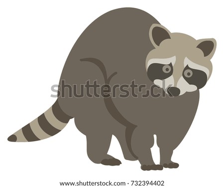 Vector Illustration of a Startled Raccoon