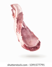 Vector illustration of a steak in the air