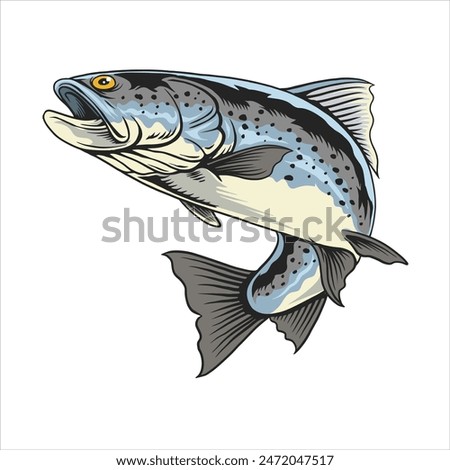 Vector Illustration of Steelhead Trout Fish with Vintage Illustration