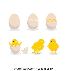 Vector illustration of step by step process baby chicken hatching from the egg