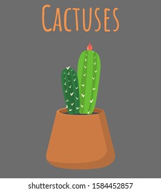 Vector illustration of a stetsonia cactus In bloom in a cute pot.