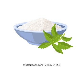 Vector illustration, stevia or sweet leaf, also called sugar leaf, isolated on white background.