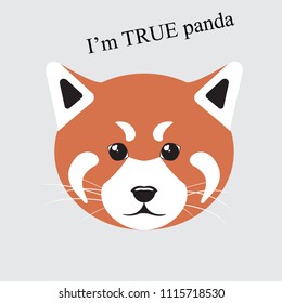 vector illustration of sticker with cute little red Panda muzzle
