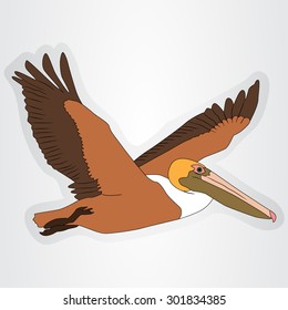 Vector Illustration Of The Sticker With A Flying Pelican For Kids.