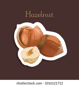 vector illustration with sticker of hazelnut