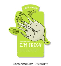 Vector illustration of a sticker with kohlrabi. Sketch, color. Vivid picture of a vegetable. Fresh food