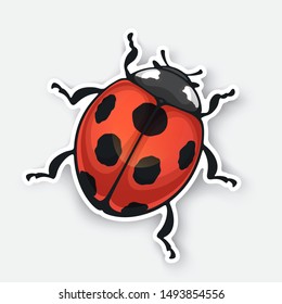 Vector illustration. Sticker of ladybug top view with contour. Red bug with black spots. Isolated on white background