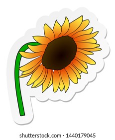 Vector illustration, sticker of orange sunflower flower in flat cartoon style isolated on white background