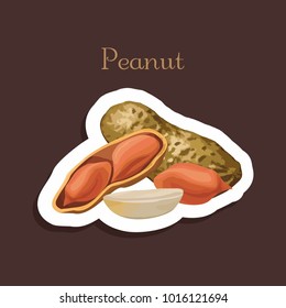 vector illustration with sticker of peanuts