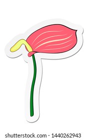 Vector illustration, sticker of pink Anturium flower in flat cartoon style isolated on white background