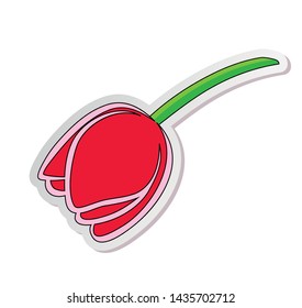 Vector illustration, sticker of red tulip flower in flat cartoon style isolated on white background