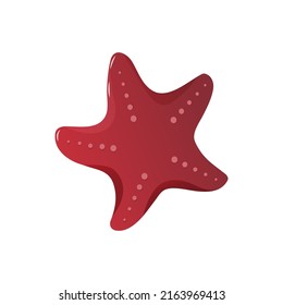 Vector illustration of sticker sea star or starfish isolated on white background