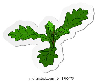 Vector illustration, sticker of small oak tree with few leafs in flat cartoon style isolated on white background