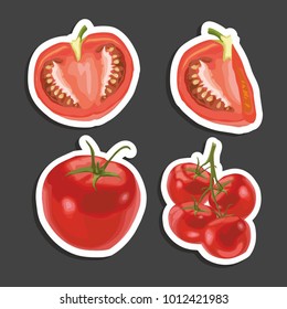 vector illustration with sticker of tomato in different kinds