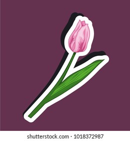 Vector illustration sticker of a tulip