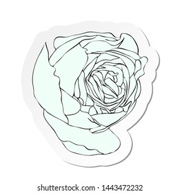 Vector illustration, sticker of white rose bud flower in flat cartoon style isolated on white background