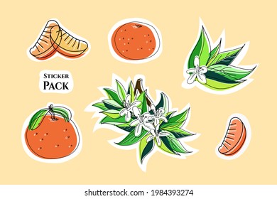 Vector illustration of stickers. Blooming branch with flowers, tangerine and orange, tangerine slices. Doodle style. Design elements for stickers, booklets, banners, children's books, posters, flyers