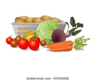 Vector Illustration. Still life of bright ripe vegetables.

