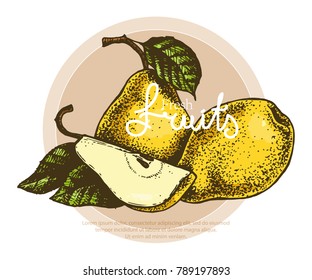 Vector illustration, still life of pears, sketch, hand draw, fresh fruit, concept for vegetarian cafes and restaurants.