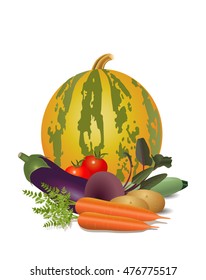 Vector Illustration. Still life of  ripe vegetables on a white background. 
