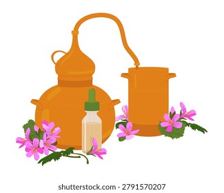 Vector illustration of a still and Pelargonium graveolens. An old copper still for producing essential oils and floral distillates. A device for home production of Pink geranium extract.