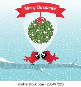 Vector illustration Stock Cardinal Birds kissing under the Christmas mistletoe branch/Birds kissing under a branch of mistletoe Christmas/Birds on a branch kissing under the Christmas mistletoe