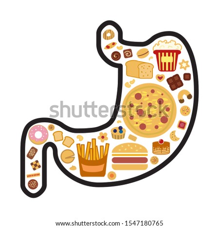 vector illustration of stomach and proceeded food with simple carbs for digestion problems and unhealthy eating 