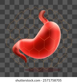 Vector illustration of stomach with shield