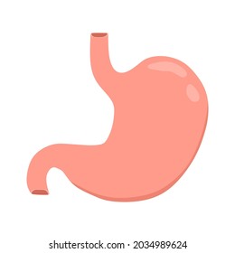 Ilustración vectorial del estómago, adecuada para la publicidad de productos sanitarios y educativos