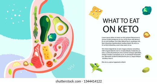 Vector illustration of a stomach which is filled with ketogenic poducts. Keto diet banner, landing page, article or blog post.