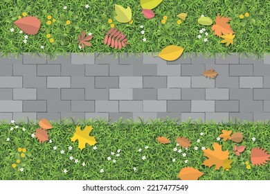 Vector illustration. Stone path in the garden with green grass and falling autumn leaves. Top view. Park autumn landscape. View from above.