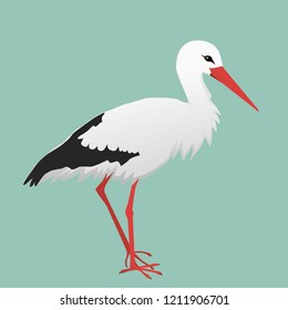 A vector illustration of a stork. The background is green