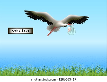 Vector illustration of a stork carrying a baby kid's birthday bird with a man flying across the sky over a field of flowers 3D