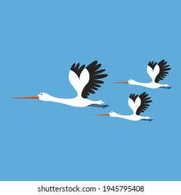 Vector illustration of storks on blue background, birds set cartoon style.